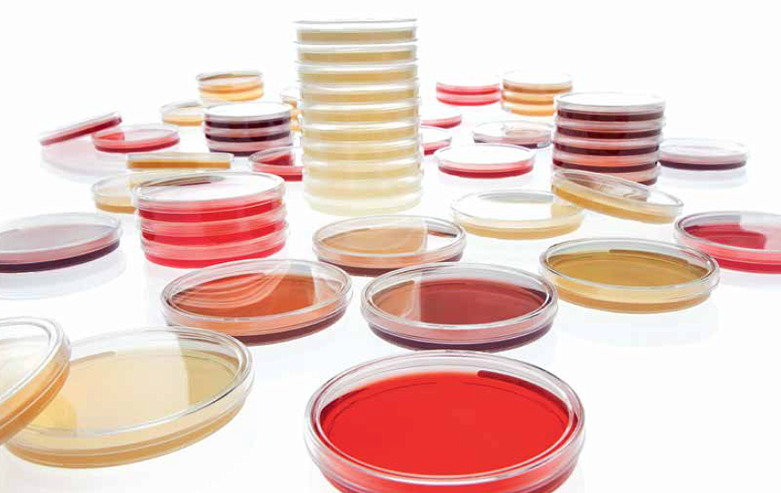 Для заказа доступны готовые среды для обнаружения микоплазм производства компании Merck Life Science (HEIPHA)