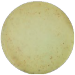 Среда Сланца-Бертли MF022