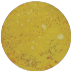 Среда с тергитолом 1-7 НС MF016