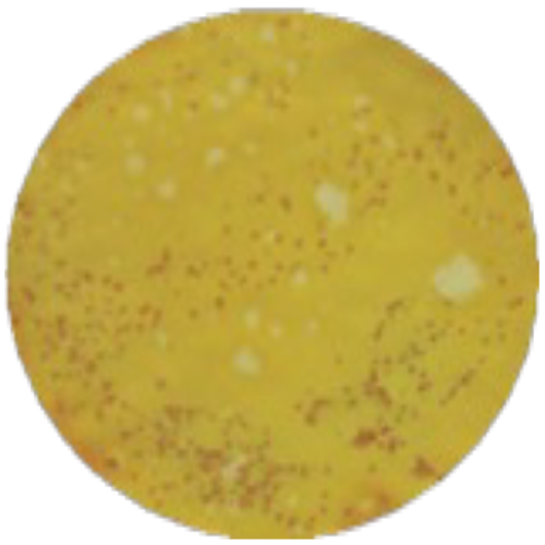 Среда с тергитолом 1-7 НС MF016