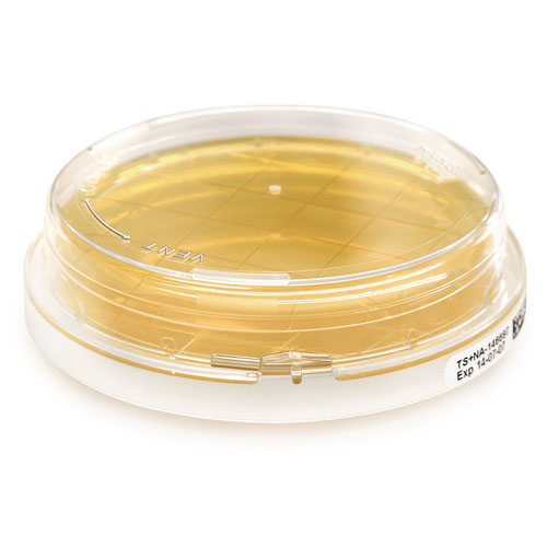 Tryptic Soy Contact Agar + Neutralizer A – ICRplus 1465480020