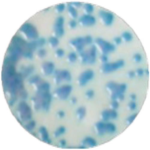 Универсальная хромогенная среда для мембранной технологии MF018