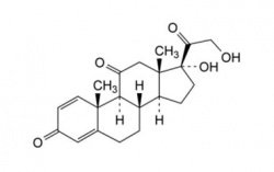 Преднизон Артикул: PA 43 17000 CAS номер: 53-03-2