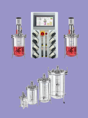 Лабораторный биореактор/ферментер DuoBioX® Elite от 2 млн. рублей