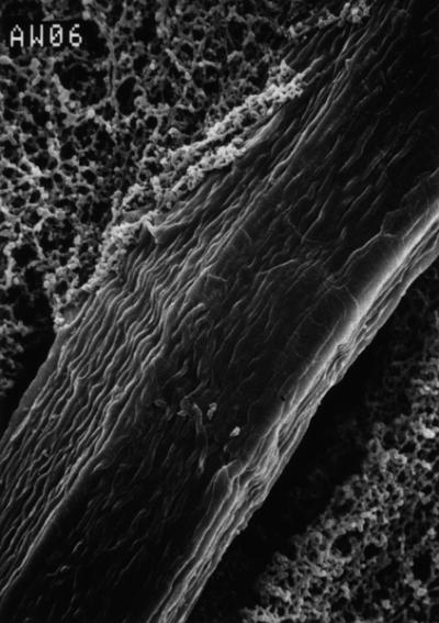 Префильтры RW, 47 мм, 100 шт./уп. RW0304700