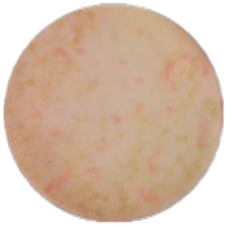 Агар МакКонки MF012