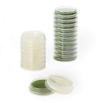 ReadyPlate™ 55 