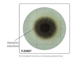 Среда Сабуро с декстрозой и нейтрализаторами (твин, лецитин, гистидин, тиосульфат) для гигиенического мониторинга (γ-облученная, в тройной упаковке) FL0039GT