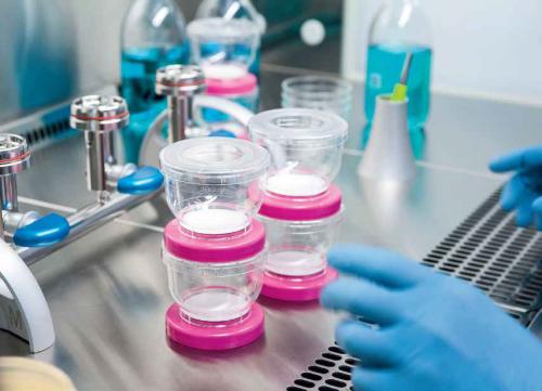 Фильтрационные устройства EZ-Fit™ без подложки (розовая маркировка) 