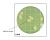 HiTouch™ FlexiPlate™ для подсчета Bacillus для подсчета Bacillus spp. селективная FL016