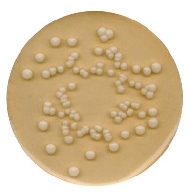 Картофельный агар с декстрозой  для микробиологии 1101300500