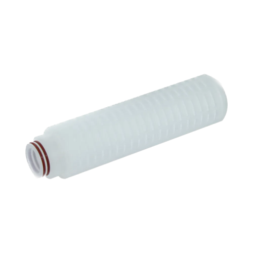 0.22 um PES Cartridge Filter, Code 0, 10 inch RAFF12201