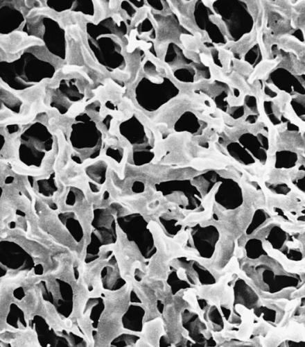 Мембранные дисковые фильтры MF-Millipore, смешанные эфиры целлюлозы, гидрофильные, 0.65 мкм, 293 мм, белые, гладкие, 25 шт/уп DAWP29325