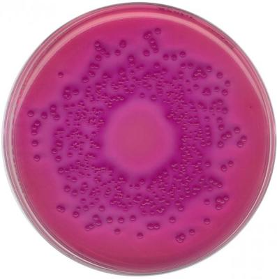 Агар VRBD с кристаллическим фиолетовым, нейтральным красным, желчью и глюкозой по Мосселю 1102750500