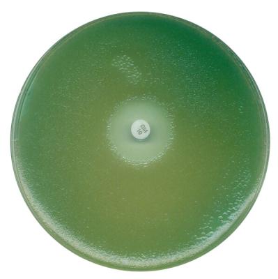 Агар Мюллера-Хинтон  для определения чувствительности клинически важных патогенов 1054370500