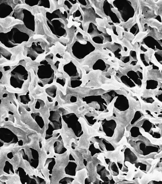 Мембранные дисковые фильтры Durapore®, PVDF, гидрофильные, 0.45 мкм, 293 мм, белые, гладкие, 25 шт/уп HVLP2932A