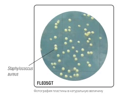 Соево-казеиновый агар с полисорбатом и лецитином для определения эффективности дезинфекции (γ-облученная, в тройной упаковке) FL035GT