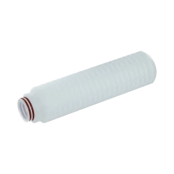 0.22 um PES Cartridge Filter, Code 0, 10 inch RAFF12201