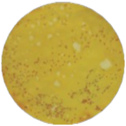 Среда с тергитолом 1-7 НС MF016