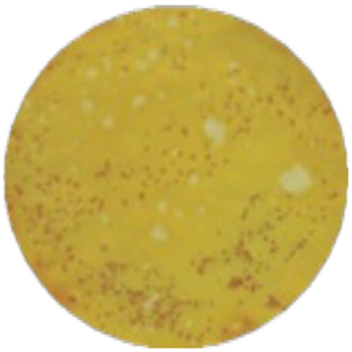 Среда с тергитолом 1-7 НС MF016