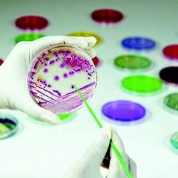 Агар МакКонки агар без кристаллического фиолетового, NaCl, с 0,5% таурохолата натрия, чашки 90 мм MP082