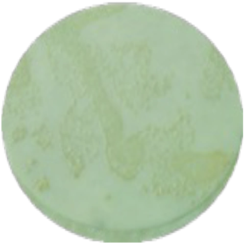 Среда Pseudomonas MF023