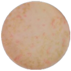 Агар МакКонки MF012