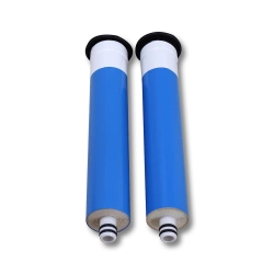 RO Membranes for small RiOs& Elix, аналог CDRC60202, 2/pk RAR060202