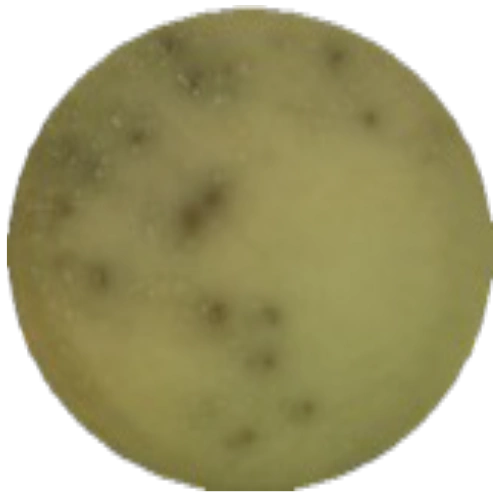 Желчно-эскулиновый агар с азидом натрия MF004