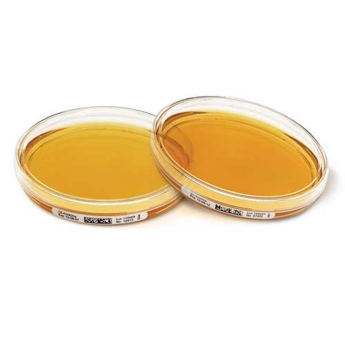 Tryptic Soy Agar with LT + Cephase - ICR 146076